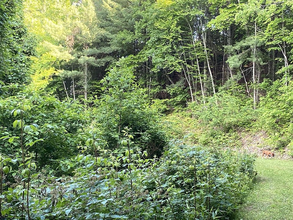 2nd image of E Hazel Mountain Rd