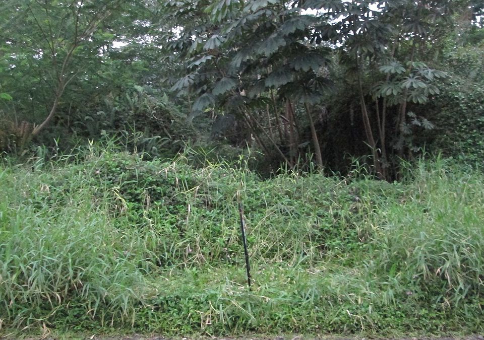 1st image of 28th Ave Lot 630