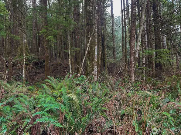 0 TR 15 Salal Drive, Copalis Beach, WA 98535