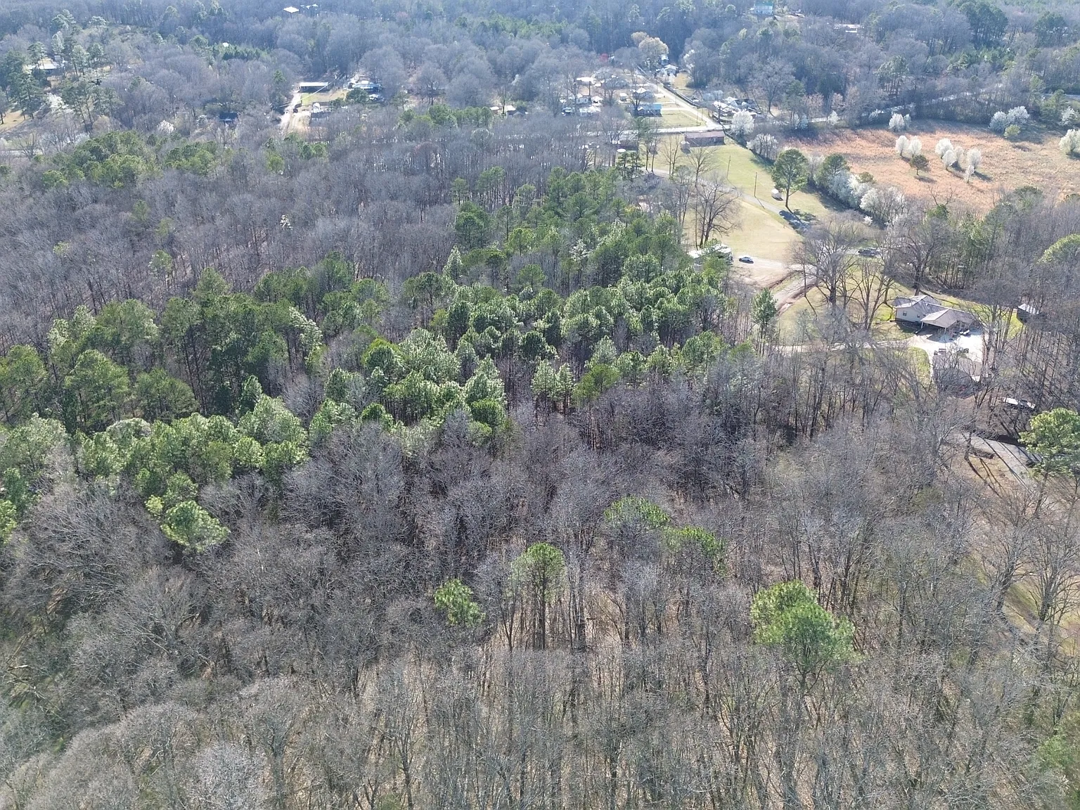 219 Crestview Road - 1 — Photo 3