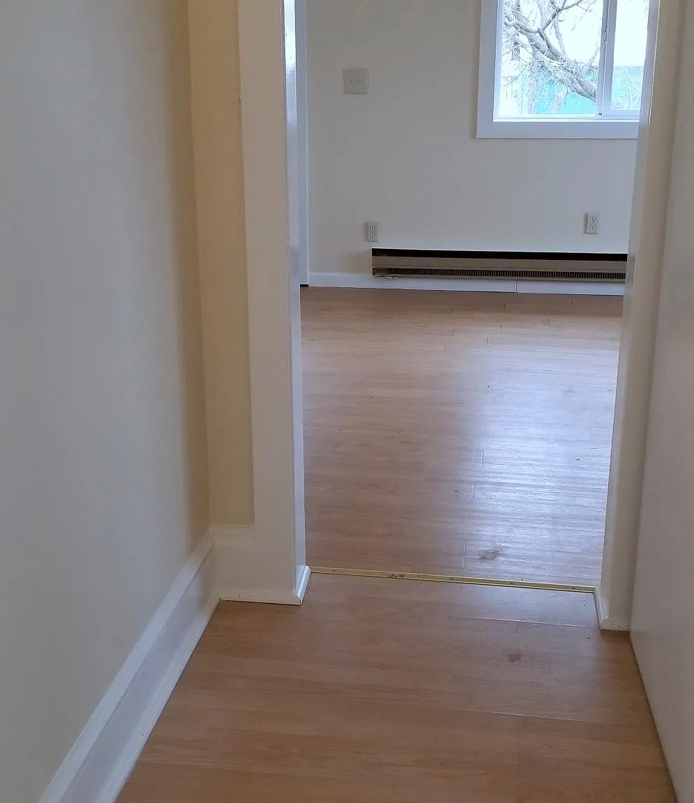1 bed, $995 — Photo 3