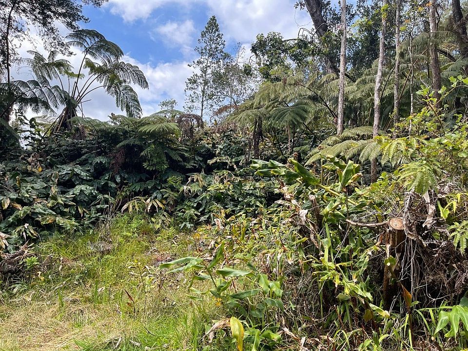 194273 Kekoa Nui Blvd, Volcano, HI 96785 Zillow
