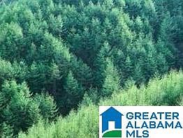 1st image of 3301 Robert Lee Rd #3301-3407-3429