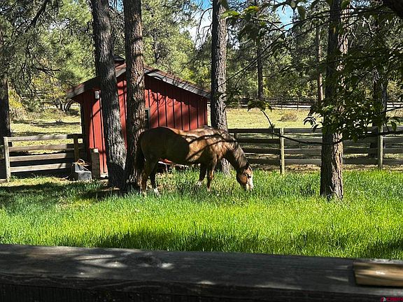 2nd image of 513 W Log Hill Road