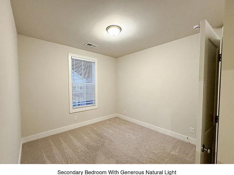 113 Pinecone Pl — Photo 15