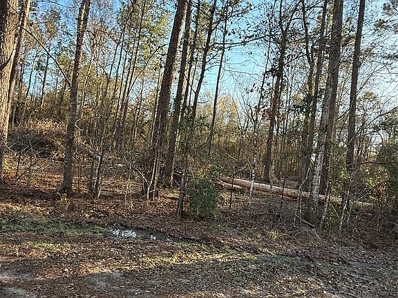 3rd image of 0 County Road 308