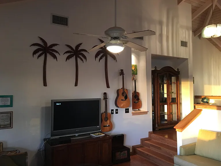 3863 Mahinahina St #1 — Photo 1