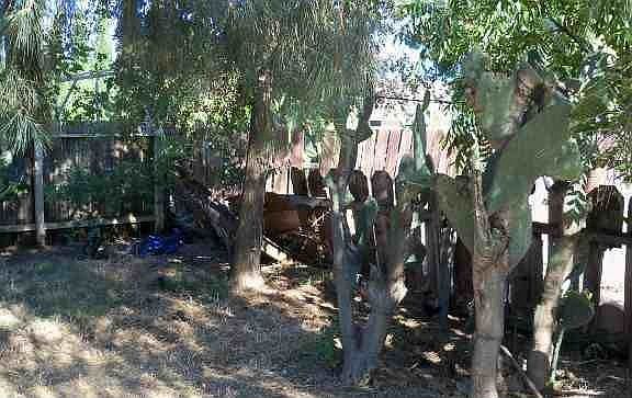 4th image of 876 Bromley Ave