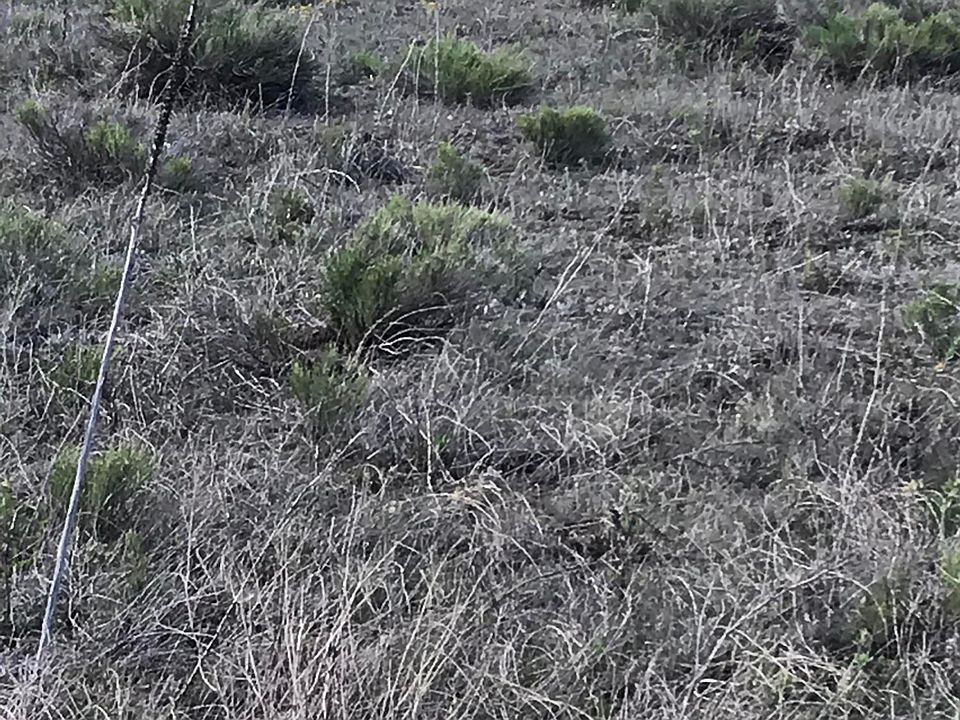2nd image of 10917 E Horse Hill Trl