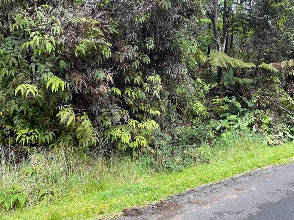 Liona St Lot 53-B-86, Volcano, HI 96785