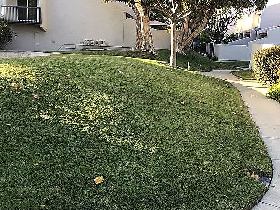 5th image of 814 W 232nd St