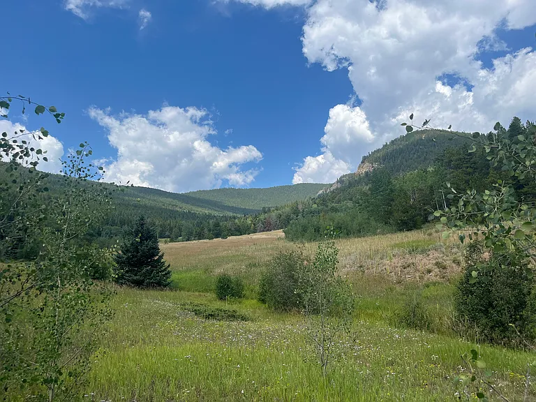 Meadow a few hundred yards from your doorstep, part of the Beaver Brook Watershed.