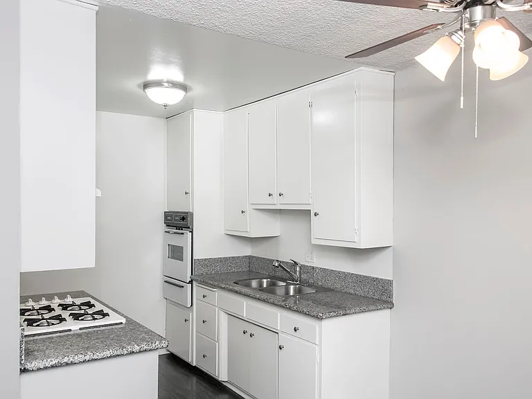 1256 Boynton St — Photo 9