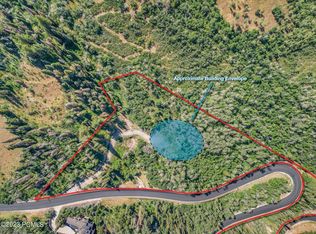 156 White Pine Canyon Rd, Park City, UT 84060