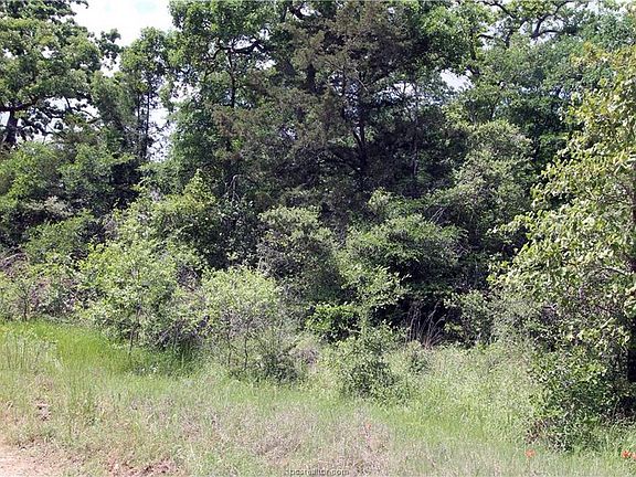 2nd image of 10035 Woodview (pvt) Dr
