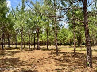 Stout Rd LOT 48, Canton, MS 39046