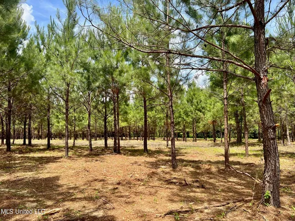 Stout Rd Lot 48, Canton, MS 39046
