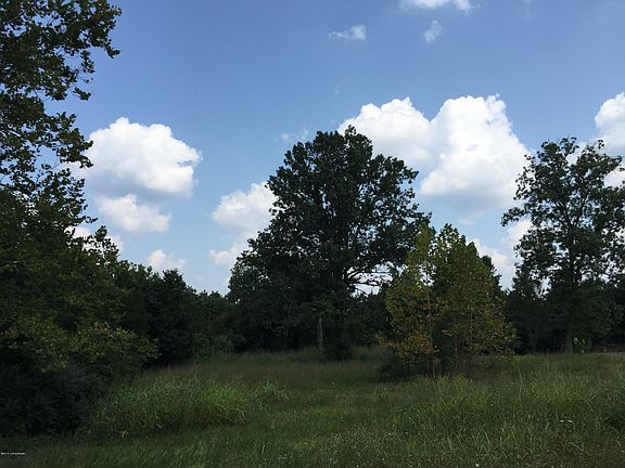 4th image of 1007 Whitewood Bend Dr