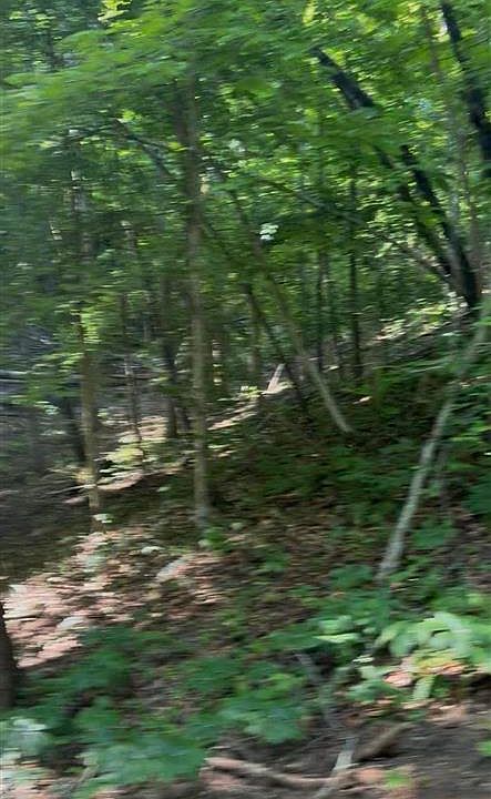 2nd image of 142-144 Wilderness Rd