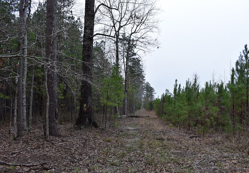 1st image of Near Hwy Lot 167-WP001