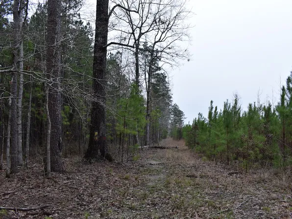 Near Hwy Lot 167-WP001, Thornton, AR 71766