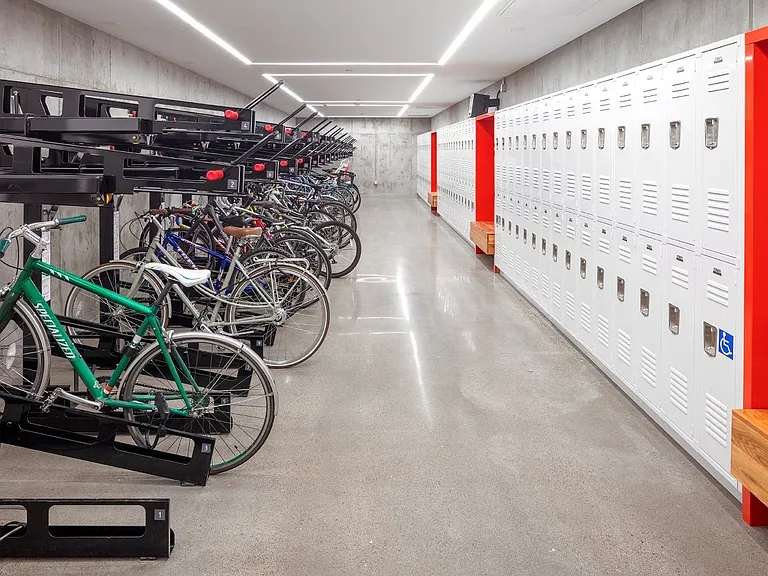 Solace — Photo 4