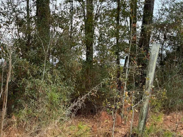 Cool Springs Rd, Opp, AL 36467