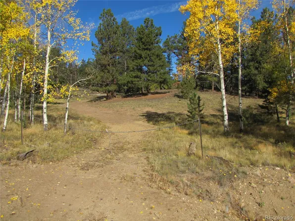 Lot 666 Bellows Road LOT 666, Hartsel, CO 80449