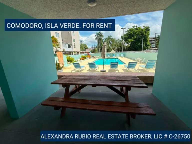503 Calle Gardenia — Photo 12