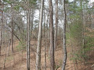 115 Greenfield Rd #3, Ellijay, GA 30536