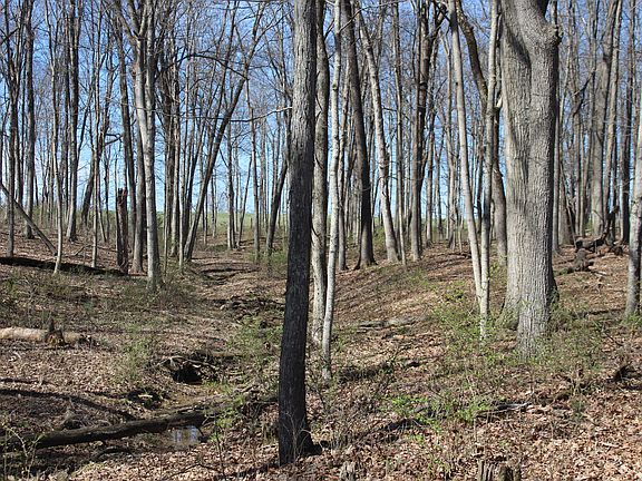 4th image of 1694 Poindexter Rd