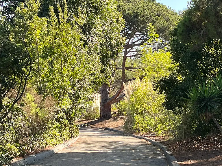 5331 La Glorieta #A — Photo 9