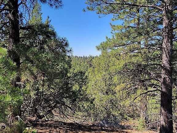 5th image of LOT 368 N Fork Rd