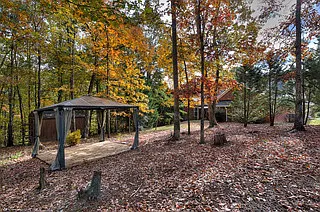 backyard 3_04272026