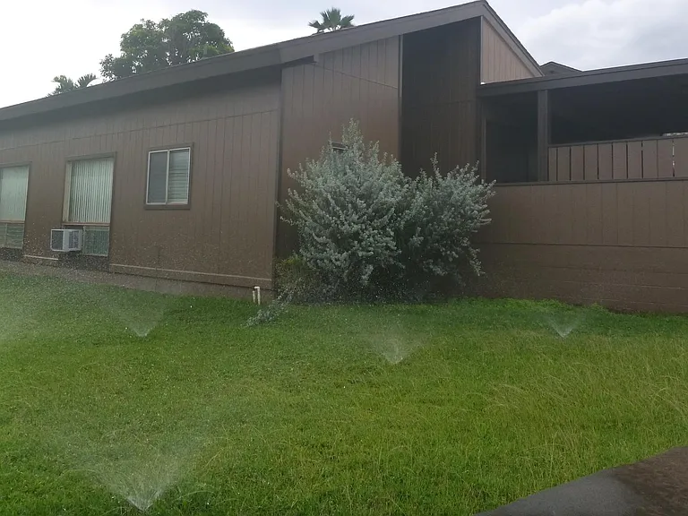 Expansive Front Yard