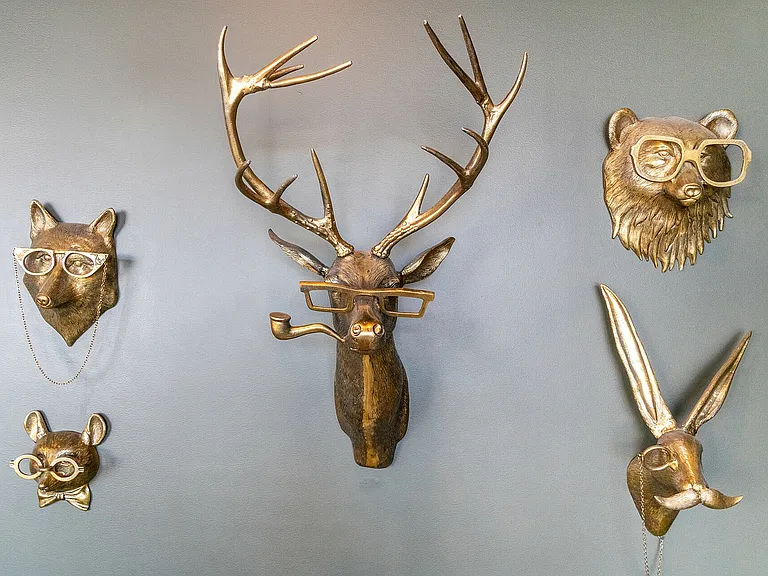 Animals