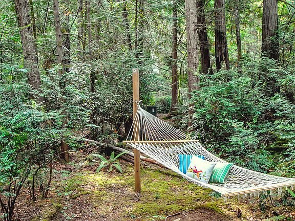 Trees surround the home
