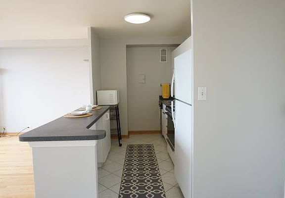 2nd image of 3950 N Lake Shore Dr APT 1508