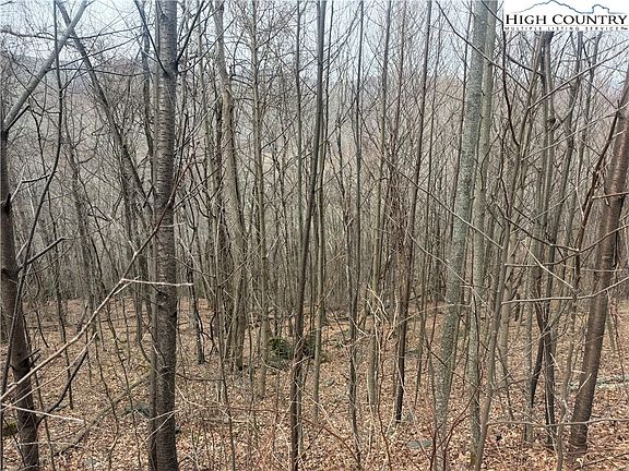 2nd image of TBD Larkspur Trail