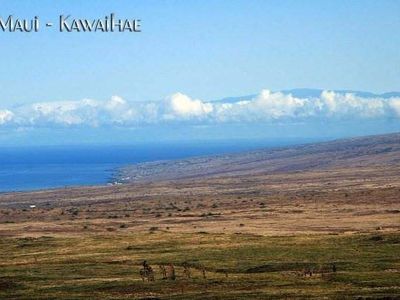 8A Bucky Hill Ln, Kamuela, HI, 96743