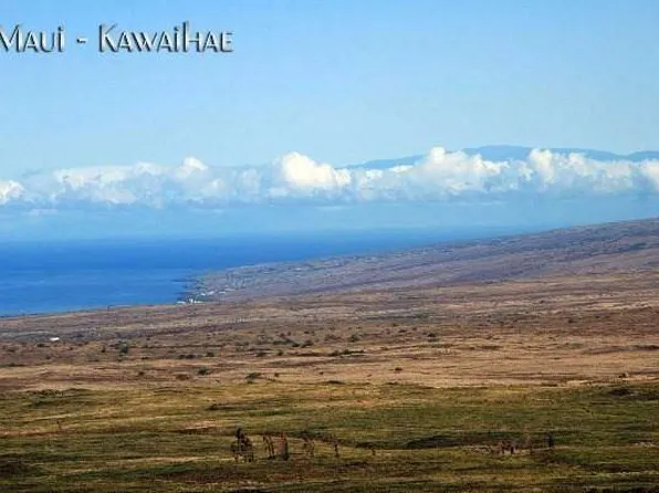 8-A Bucky Hill Ln, Kamuela, HI 96743