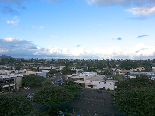 View North