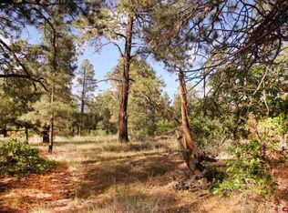 31 Harrys Ct, Pagosa Springs, CO 81147