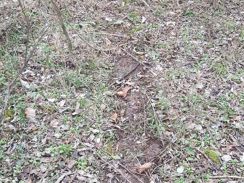 2nd image of 0 Hickman Rd
