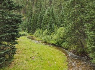 11755 Rochford Rd, Rochford, SD 57745