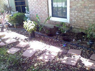 Landscape Front Yard
