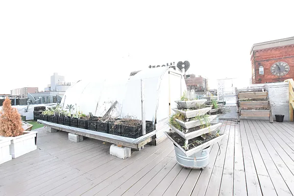 Rented by Clove Realty LLC | media 13