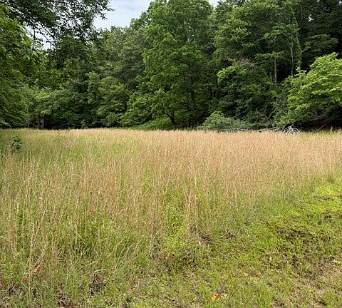 2nd image of 0 Patton Dr