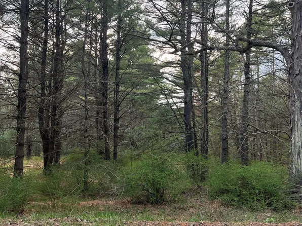 00 Upper Pine Kill Road, Wurtsboro, NY 12790