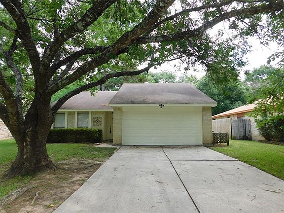 Beautiful mature tree.